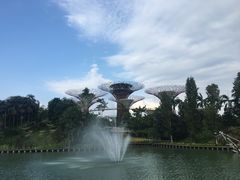 -老伴豆花(麦士威熟食中心店)