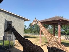 -石家庄市动物园