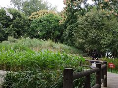 -成都市活水公园