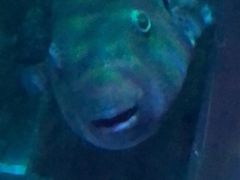 -沈阳海洋探索中心