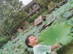 -乌村