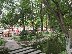 -成都市活水公园