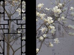 -耦园