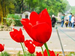 -花溪公园