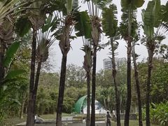 -深圳国际园林花卉博览园