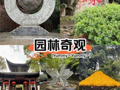 -杭州黄龙洞