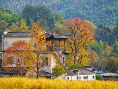 -塔川景区