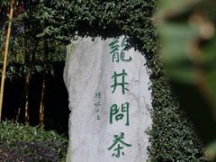 -十八棵（老龙井）御茶园(老龙井店)