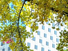 -大妙火锅·非物质文化遗产(东湖公园店)