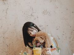 -Kekimatata 生日蛋糕·烘焙教学