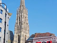 -斯蒂芬主教座堂(Stephansdom)
