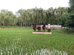 -北坞公园