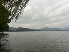 -杭州西湖柳莺里酒店