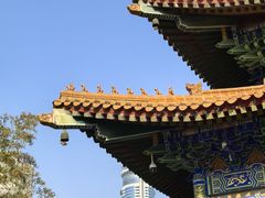 -天龙宝严素食馆(大兴善寺店)