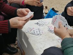 -北岐滩涂