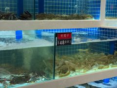 -渔家乐小海鲜(皇姑店)