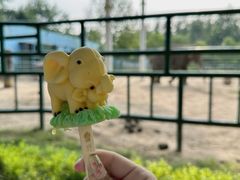 -秦皇岛野生动物园