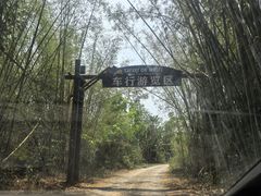 -海南热带野生动植物园