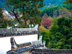 -塔川景区