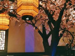 -绿茶餐厅(松江万达店)