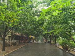 -青檀寺景区