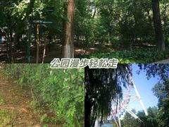 -哈尔滨文化公园