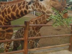 android_upload_pic-西安秦岭野生动物园