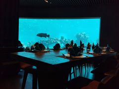 -海棠湾洲际-涛·海底餐厅·美人鱼·自助餐·海底隧道