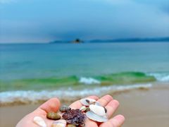 -大梅沙海滨公园