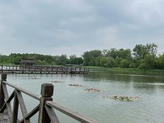 -溱湖国家湿地公园