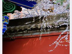 -西安市广仁寺
