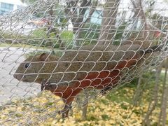 -成飞公园