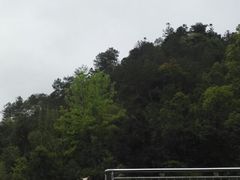 -清晖小苑•顺德地方菜(壹海城店)