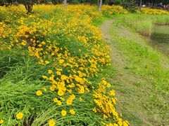 -歌斐颂巧克力小镇