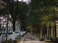 -武汉园博园(武汉自然博物馆)