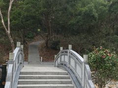 -梧桐山风景名胜区