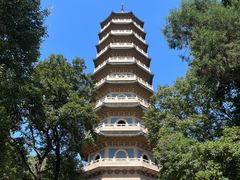 -灵谷景区