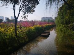 -南汇桃花村