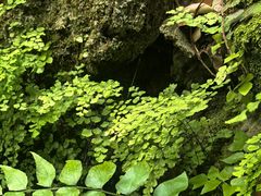 -李白纪念馆