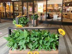 -中海环宇荟