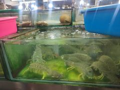 -班赞海鲜市场