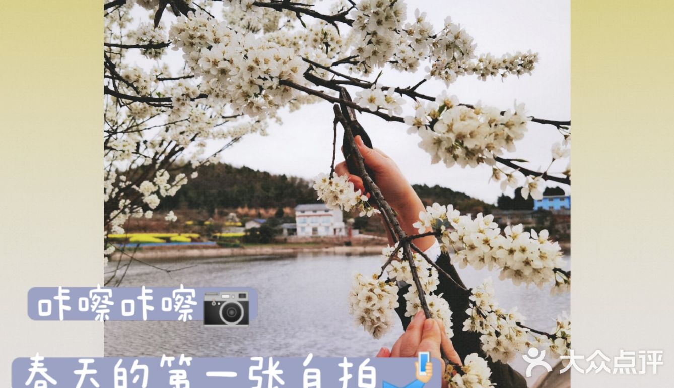 #我的文艺范er