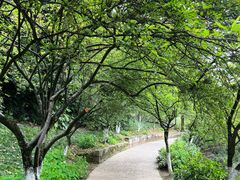 -南山植物园