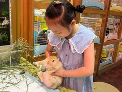 -宠物兔专门店(天丰利市场店)
