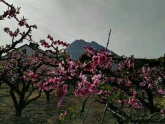 -桃花岛景观公园