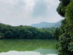 -杭州半山国家森林公园