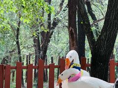 -北京野生动物园