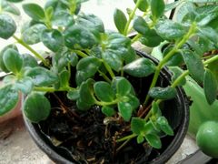 android_upload_pic-中影国际影城(大唐西市4K临境音店)