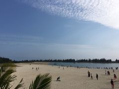 -东郊椰林