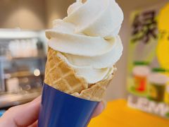 -春丽小马(济南恒隆广场店)